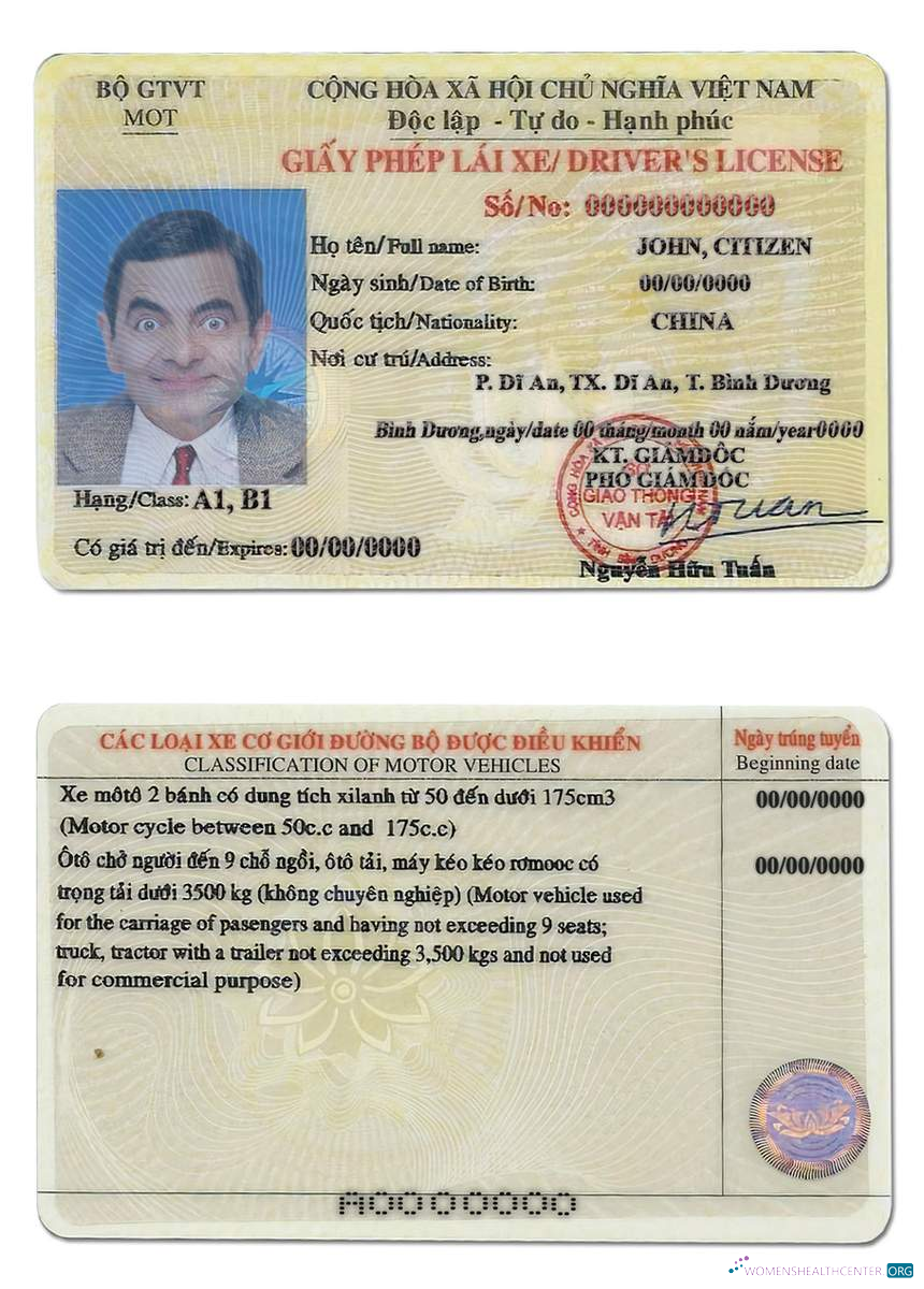 download Vietnam driving license